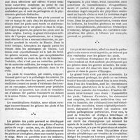 0416 - Page 409 - Partie scientifique. Gelures des pieds et pieds de tranchées