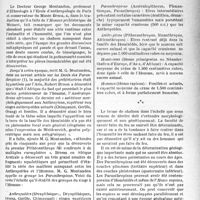 0566 - Page 559 - Partie professionnelle, Hygiène, Assistance, Mutualité, Intérêts corporatifs, Variétés. Bulletin de l’Actualité. Anthropologie. Les origines de l’Homme