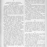 1209 - Page 1186 - Propos du jour. Corporatisme et corporations (suite). La formation du médecin, en régime corporatif / Assurances sociales, Mutualité, Accidents du travail, Hôspitalisation en régime corporatif [(G. Lavalée)]