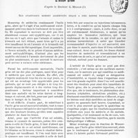 0106 - Page 103 - Travaux originaux. La clinique syphiligraphique au goût du jour. L’huile grise, d’après le Docteur G. Millan