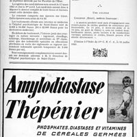0457 - Page 454-VIII - Hôpital psychiatrique départemental de Saint-Dizier (Haute-Marne) / Le Livre d’Or du Corps Médical français