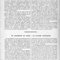 0464 - Page 461 - Travaux originaux. L’alimentation des enfants pendant la période des restrictions alimentaires, par le Professeur P. Rohmer de Strasbourg / Un succédané du sucre: le glucose sacchariné