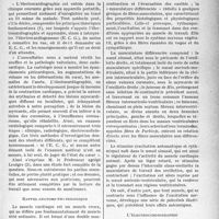 0640 - Page 637 - A propos de l’électrocardiogramme. Quelques données à l'usage des praticiens / Rappel anatomie-physiologique / L'électrocardiographie