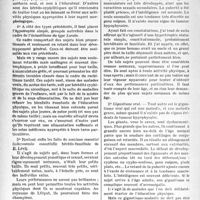 0727 - Page 724 - Les anomalies du développement pondéral et statural devant l’éducation physique, par M. Jacques Decourt. Les anomalies du développement pondéral et statural. Hypotrophies staturales / Hypertrophies staturales