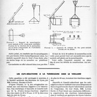 1169 - Page 1162 - Travaux originaux. Appareil pour grands malades assis, par le Docteur Ph. Ledoux. Les boissons [P. Lacroix] / Les cuti-réactions à la tuberculine chez le vieillard