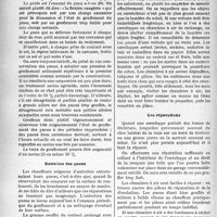 1181 - Page 1174 - Chronique automobile. L’angoissanté question du caoutchouc, par Henry Petit. L’usage normal de la voiture / Entretien des pneus / Les pneus morts / Les réparations