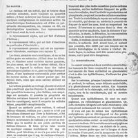 1454 - Page 1443 - Travaux originaux. La clinique au goût du jour. Ce que l’on peut demander à le curiethérapie, d’après le Professeur Léon Imbert [G. Fischer]. Le radium / La curiethérapie