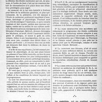 1658 - Page 1647 - Hypovitaminose A, héméralopie et accidents de la route. A propos de la réforme des études médicales