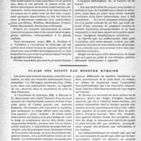 2107 - Page 2094 - Travaux originaux. Tuberculose et cancer du sein, par M. le Docteur P. Hardouin / Plaies des doigts par morsure humaine