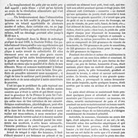2232 - Page 2219 - Hygiène de l’alimentation. Le problème du pain