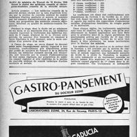 0279 - Page 262 - À travers l’officiel. Assurances sociales