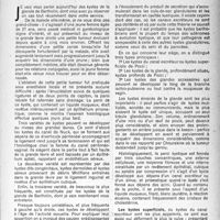 0458 - Page 441 - Partie scientifique. Clinique chirurgicale. Kyste de la glande de Bartholin, M. J. P. Tourneux