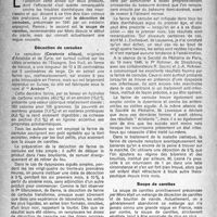 1501 - Page 1486 - Partie scientifique. La décoction de caroubes et la soupe de carottes dans les états diarrhéiques du premier âge. Décoction de caroubes, par M. Georges Schreiber / Soupe de carottes