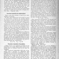 0216 - Page 191 - Partie Scientifique. La théorie de Cushny et l’exploration des fonctions rénales, par MM. M. Dérot et Jean Bernier. Tests de la fonction glomérulaire / Fonction tubulaire de réabsorption / Fonction tubulaire d’excrétion