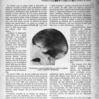 0438 - Page 413 - Partie scientifique. Perméationcutanée révélatrice ou plaidoyer pour le nu, Paul Michon