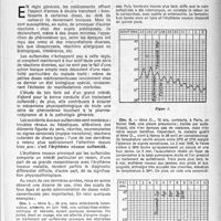 1372 - Page 1273 - Partie scientifique. l’érythème noueux provoqué par les sulfamides, par le Docteur P. Louyot