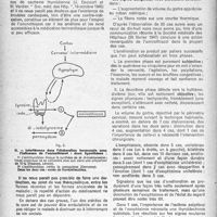 1709 - Page 1610 - Partie Scientifique. Un nouveau traitement de l'hyperthyréose : l’aminothiazol, antithyroidien de synthèse, par M. Albeaux-Fernet. Le mode d’action de l’aminothiazol et ses indications / La conduite de la cure