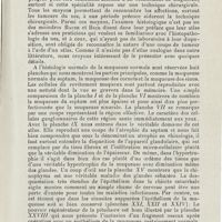 0215 - Page 213 - Revue analytique (Ouvrages, thèses et articles). Bauer et Beck. - Atlas d'histopathologie du nez et des cavités péri-nasales. C. Kabitseh, éditeur, Leipzig