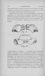 Fig. A / Fig. B - L'Odontologie