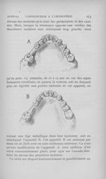 [Contribution à l’orthopédie des maxillaires] - L'Odontologie