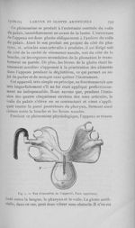 Fig. 5. — Vue d’ensemble de l'appareil. Face supérieure - L'Odontologie