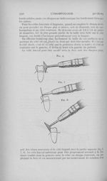 Fig. 6 / Fig. 7 / Fig. 8 - L'Odontologie