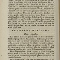 0026 - Page 26 - Des chairs en général. Première division. Chairs blanches