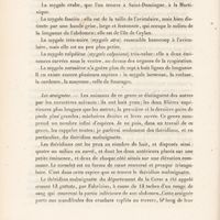0008 - Page 8 - Les araignées