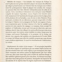 0007 - Page 7 - Maladies des trompes / Déplacements des ovaires et des trompes