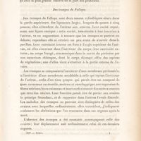 0033 - Page 33 - Des trompes de Fallope