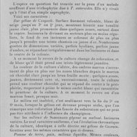 0311 - Page 295 - Séance du 13 avril 1932. Communications. Sur une nouvelle espèce de Scopulariopsis trouvée aux Indes portugaises, par Froilano de Mello