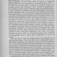 0584 - Page 564 - Séance du 8 juin 1932. Communications. Le trypanosome du débab egyptien, par L. Nattan-Larrier et B. Noyer