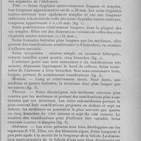 0797 - Page 771 - Séance du 6 juillet 1932. Mémoires. Contribution à l'étude de la faune anophélienne d'altitude au Tonkin, par C. Toumanoff. A. Lindesaii Giles