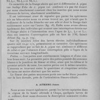 0807 - Page 781 - Séance du 6 juillet 1932. Mémoires. Contribution à l'étude de la faune anophélienne d'altitude au Tonkin, par C. Toumanoff. A. Gigas var. Baileyi Edw. / A. Aitkenii James