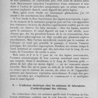 0152 - Page 128 - Célébration du 25e anniversaire de la Société de Pathologie Exotique. Séances des 8 et 9 février 1933. Séance de travail du 8 février. Etiologie et traitement des infections intestinales des pays chauds. Sur la pathogénie et sur le traitement des infections dites intestinales, (rapport introductif), par le prof. G. Sanarelli... 5. - Anciennes croyances sur le processus pathogénique du choléra asiatique. / 6. - L'infection cholérique chez les animaux de laboratoire. L'entérotropisme des vibrions