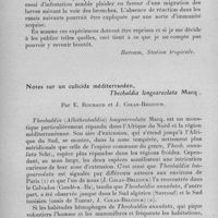 0989 - Page 934 - Séance du mercredi 12 juillet 1933. Communications. Sur les facteurs déterminant le développement des oeufs d'ankylostomes, par A. Alexeieff. (Batoum, station tropicale.). / Notes sur un culicide méditerranéen, Theobaldia longeareolata Macq., par E. Roubaud et J. Colas-Belcour