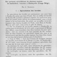 1091 - Page 1032 - Séance du mercredi 11 octobre 1933. Mémoires. Sur quelques spirochétoses de plusieurs espèces de mammifères, trouvées à Stanleyville (Congo Belge), par J. Schwetz