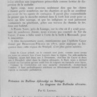1162 - Page 1099 - Société médico-chirurgicale de l'Ouest-Africain. Séance du 9 juillet 1933. A propos de la répartition géographique du ver du Cayor, par G. Lefrou. / Présence de Bullinus dybowskyi au Sénégal. La diagnose des Bullinidae africains, par G. Lefrou