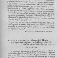 1231 - Page 1246 - Séance du 13 décembre 1933. Communications. L'écureuil de Gétulie, Atlantoxerus getelus L., 1758, est-il un réservoir du spirochète hispano-marocain, Sp. hispanicum Nicolle et Anderson 1928 ? Par P. Delanoë. (Laboratoire de l'Hôpital de Mazagan.). / Au sujet de la présence chez l'écureuil de Gétulie d'un spirochète sanguicole, probablement récurrent, différent du spirochète hispano-marocain, par P. Delanoë