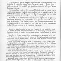 0146 - Page 140 - Séance du 10 février 1937. Communications. Stomoxydes d'Afrique, par E. Roubaud