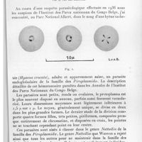 0287 - Page 271 - Séance du 14 avril 1937. Communications. Un piroplasmide nouveau, Nuttalia Alberti n. sp. chez une hyène du parc national Albert (Congo Belge), par L. Van Den Berghe