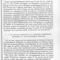 0408 - Page 383 - Séance du 12 mai 1937. Communications. Observations biologiques sur le biotype cambournaci de l'Anopheles maculipennis, par E. Roubaud et M. Treillard