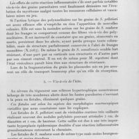 0939 - Page 867 - Célébration du 50e anniversaire de la Société de Pathologie Exotique. Séances des 18 et 19 novembre 1958. Séance de travail du 19 novembre (après-midi). Les mycétomes. Anatomie pathologique des mycétomes et du pied de Madura en particulier, par P. Destombes, R. Camain et O. Nazimoff. II. - Effets de la réaction inflammatoire