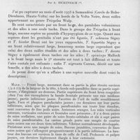 0047 - Page 37 - Séances des 14 janvier et 11 février 1959. Communications. Un nouveau calliphoridae de la région éthiopienne (Diptera, Cyclorhapha) : Tricyclea voltae n. sp. Par A. Rickenbach