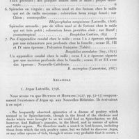 0904 - Page 823 - Séances des 18 novembre et 9 décembre 1959. Mémoires. Les tiques (Acariens ixodoidea) des îles Française du pacifique, par Jean Rageau et Guy Vervent. Clé des Ixodoidea des territoires français du pacifique. / Argasidae