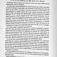 0001 - Page 126 - Sur un veau bicéphale