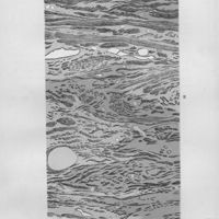 019 - Page sans numérotation - Planche I