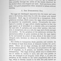 0015 - Page 375 - I. The Unsegmented Egg