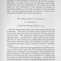 0022 - Page 383 - III. Spiral Period of Cleavage