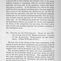 0043 - Page 404 - VI. History of the Somatoblasts. Origin of the Ventral Plate and of the Mesoblast-bands. Closure of the Blastopore. Development of the Stomodaeum (Plates XVII and XVIII)